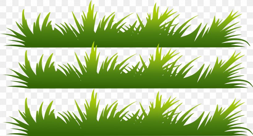 Green, PNG, 2816x1515px, Green, Arecales, Computer, Designer, Grass Download Free