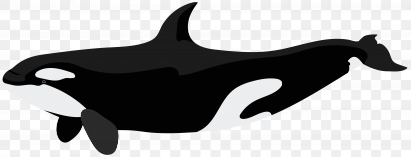 Killer Whale Dolphin Clip Art, PNG, 8000x3071px, Killer Whale, Animal, Animal Figure, Beak, Black Download Free