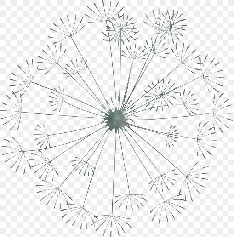 Dandelion, PNG, 2954x3000px, Dandelion, Biology, Floral Design, Flower, Geometry Download Free