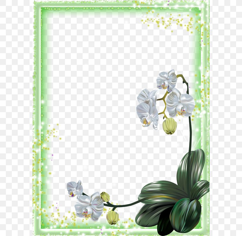Moth Orchids Flower Clip Art, PNG, 600x800px, Orchids, Blog, Easter, Flora, Floral Design Download Free