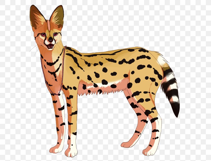 Wildcat Cheetah Cougar Mammal, PNG, 630x624px, Cat, Animal, Animal Figure, Big Cat, Big Cats Download Free