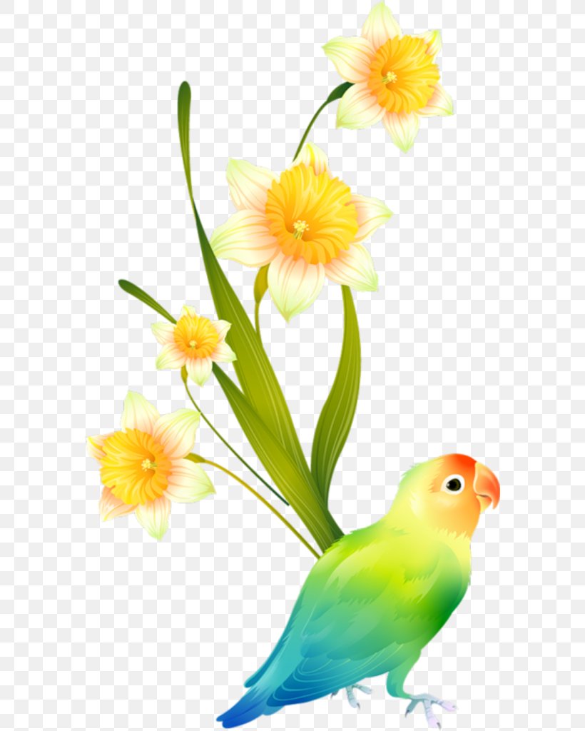 Parakeet Drawing Can Stock Photo Clip Art, PNG, 582x1024px, Parakeet, Beak, Bird, Can Stock Photo, Common Pet Parakeet Download Free
