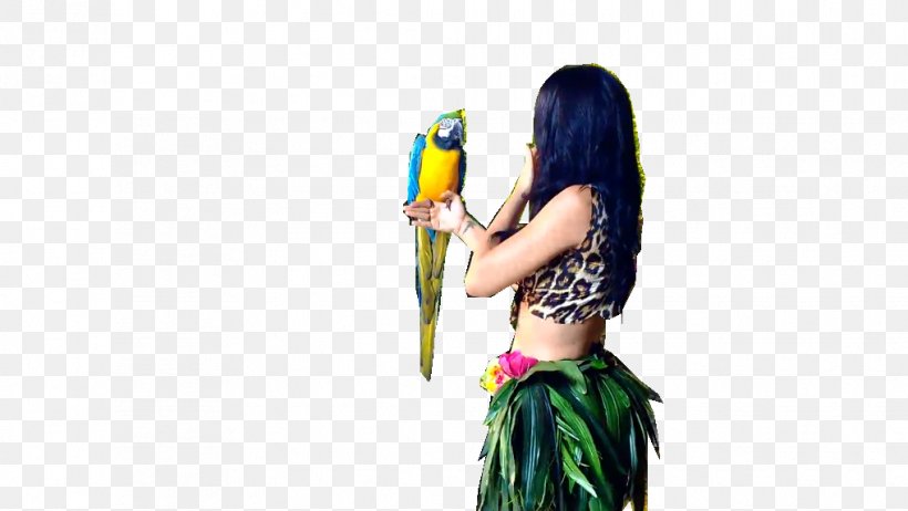 Roar One Of The Boys Teenage Dream Hot N Cold, PNG, 1018x574px, Roar, Hot N Cold, I Kissed A Girl, Katy Perry, Macaw Download Free