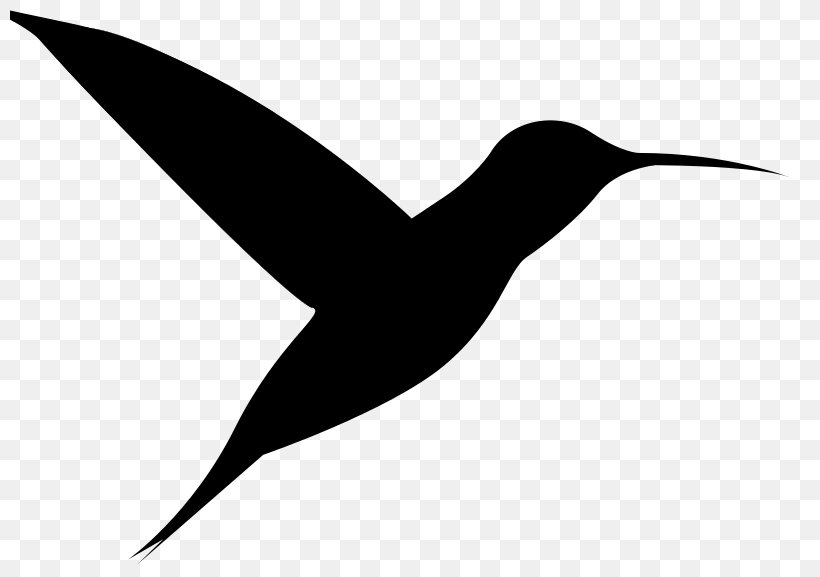 Hummingbird Silhouette Image Photograph Clip Art, PNG, 800x577px, Hummingbird, Beak, Bird, Blackandwhite, Charadriiformes Download Free