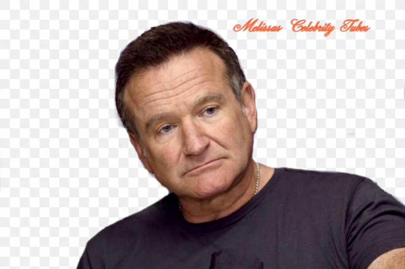 Robin Williams Comedian Actor Film Absolutely Anything, PNG, 1600x1064px, Robin Williams, Actor, Chin, Comedian, Comedy Download Free