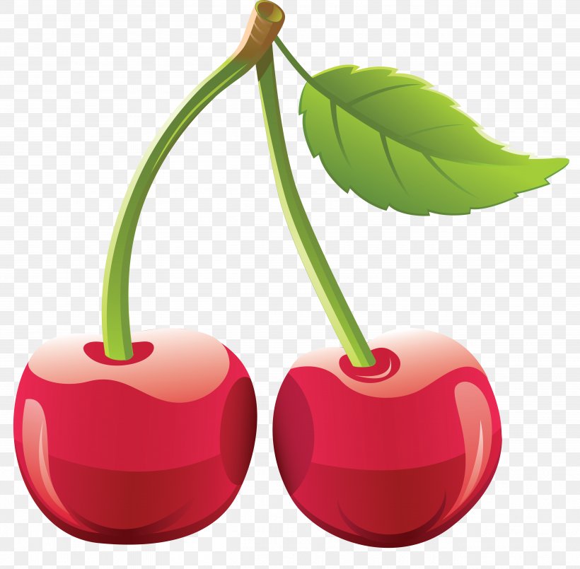 Cherry Clip Art, PNG, 5194x5101px, Cherry, Food, Fruit, Image Resolution, Plant Download Free