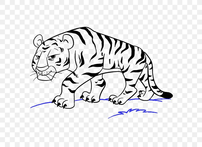 Drawing Tiger Cartoon Sketch, PNG, 678x600px, Drawing, Animal Figure, Area, Art, Art Museum Download Free
