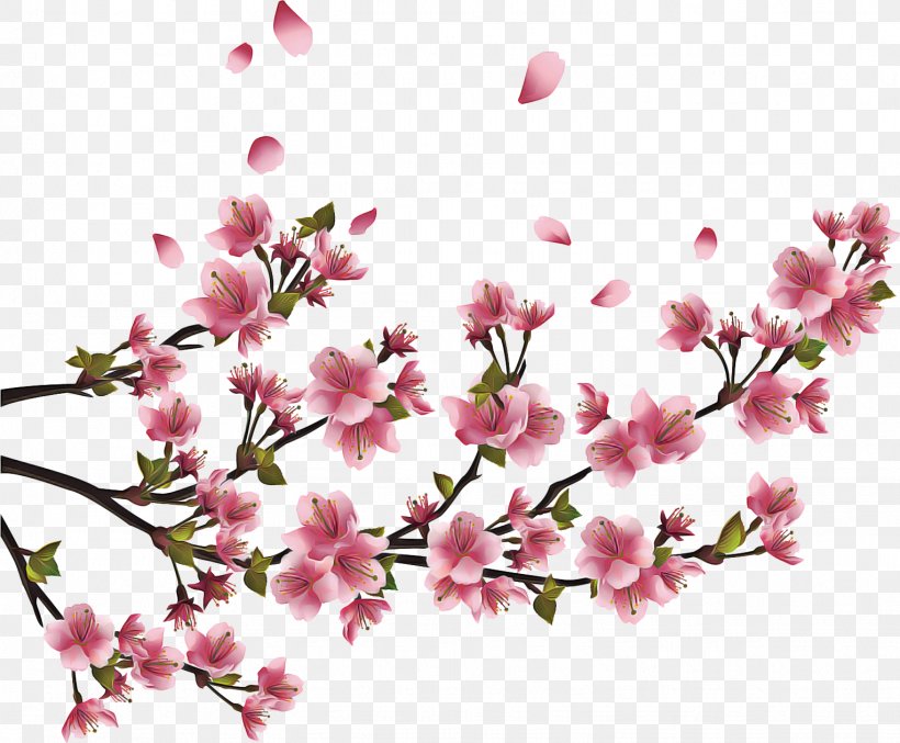 Floral Spring Flowers, PNG, 1527x1262px, Azalea, Blossom, Branch, Cherries, Cherry Blossom Download Free