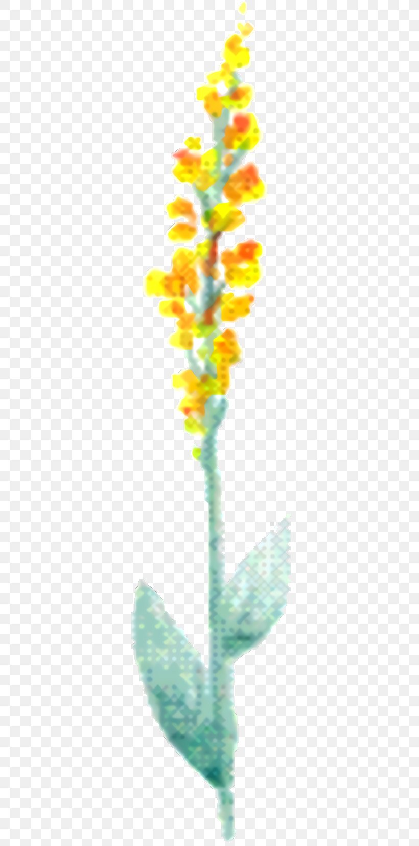 Flowers Background, PNG, 342x1654px, Leaf, Cut Flowers, Flower, Plant, Plant Stem Download Free