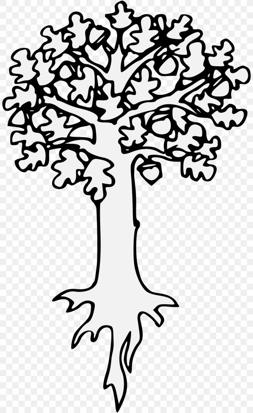 Oak Branch Tree Leaf Art, PNG, 897x1466px, Oak, Art, Bark, Botany, Branch Download Free