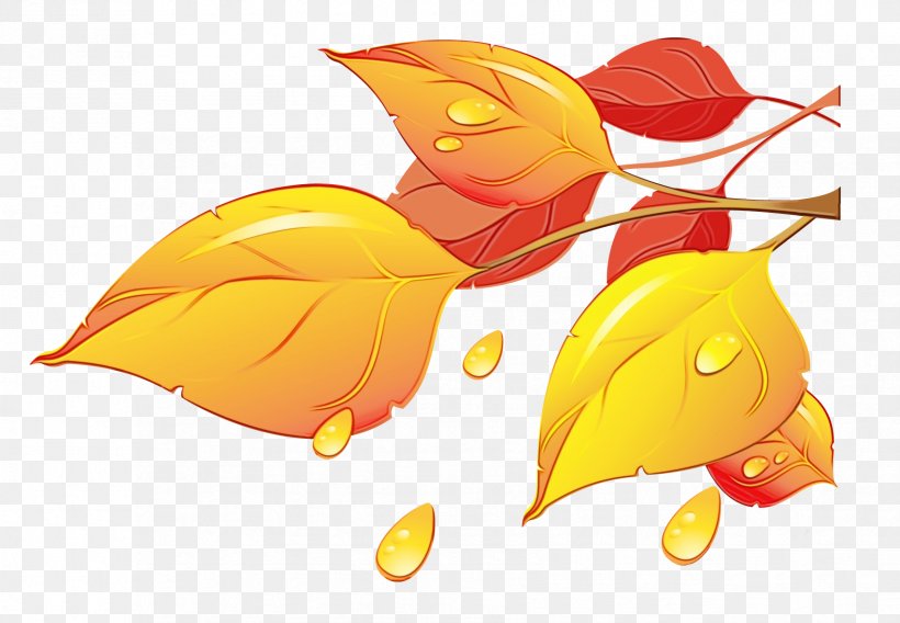 Autumn Leaf Drawing, PNG, 1703x1180px, Autumn, Drawing, Leaf, Plant, Yellow Download Free