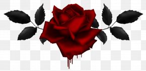 Rose - Clip Art Drawing Image Rose PNG