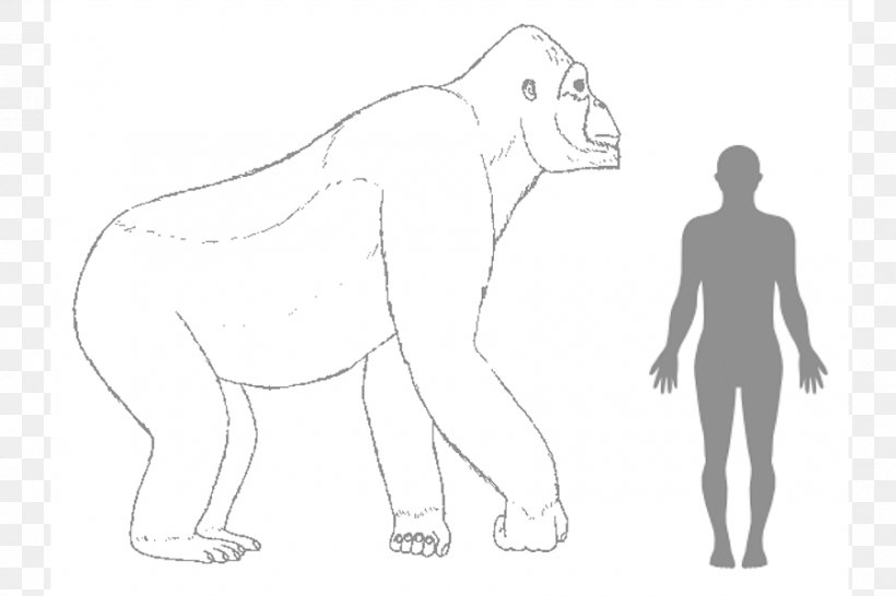 Gorilla Gigantopithecus Ape King Kong Human Body, PNG, 900x600px, Watercolor, Cartoon, Flower, Frame, Heart Download Free