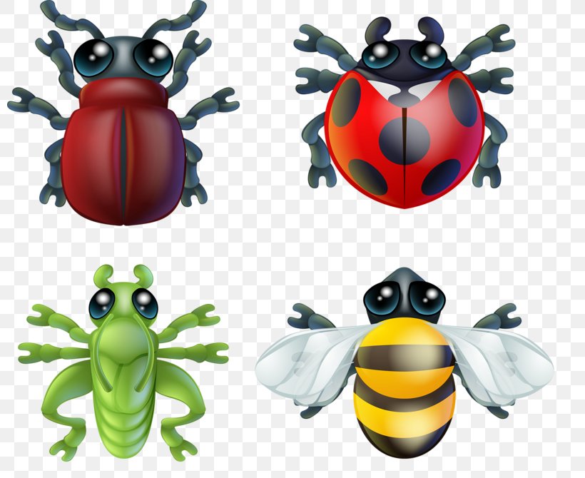 Insect Royalty-free Stock Photography Clip Art, PNG, 800x670px, Insect, Amphibian, Beetle, Free Content, Invertebrate Download Free