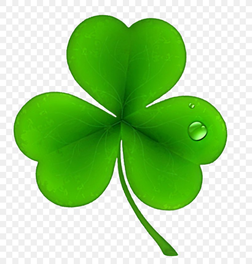 Ireland Saint Patrick's Day National ShamrockFest Public Holiday, PNG, 800x860px, Ireland, Clover, Four Leaf Clover, Green, Irish People Download Free