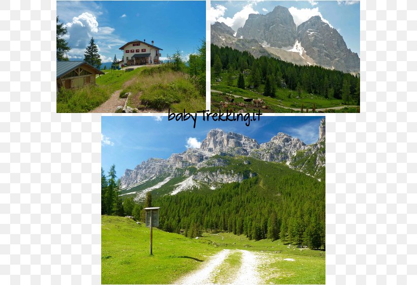 Mount Scenery Mountain Fassa Valley Fiemme Valley Child, PNG, 600x560px, Mount Scenery, Alps, Biome, Child, Elevation Download Free