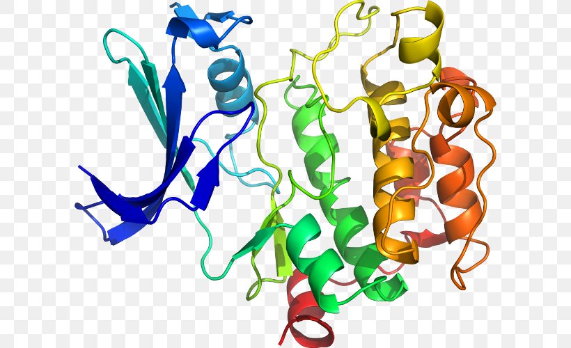 Serine/threonine-specific Protein Kinase NEK2 Serine/threonine-specific Protein Kinase, PNG, 606x500px, Protein, Art, Artwork, Cell, Cell Cycle Download Free