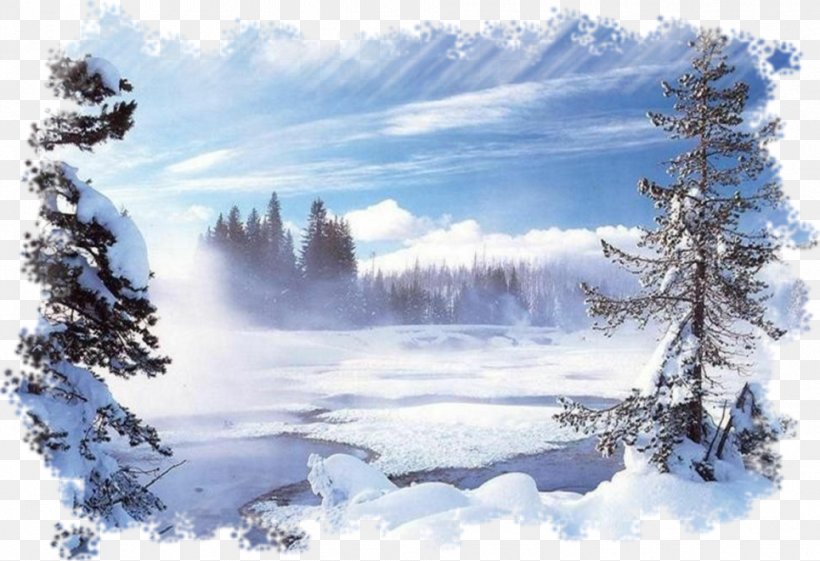 Winter Snow Desktop Wallpaper Blog, PNG, 965x661px, Winter, Arctic, Blizzard, Blog, Conifer Download Free