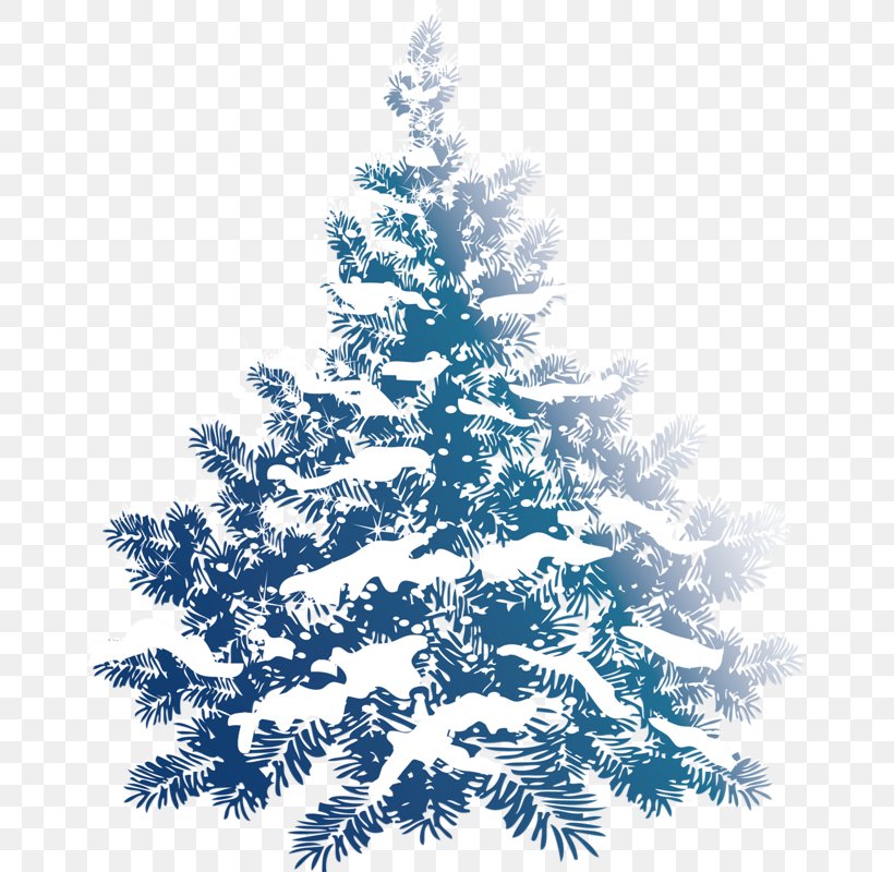 Christmas Tree Snow Pine Clip Art, PNG, 661x800px
