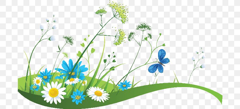 Clip Art, PNG, 700x373px, Grass, Daisy, Flora, Floral Design, Flower Download Free