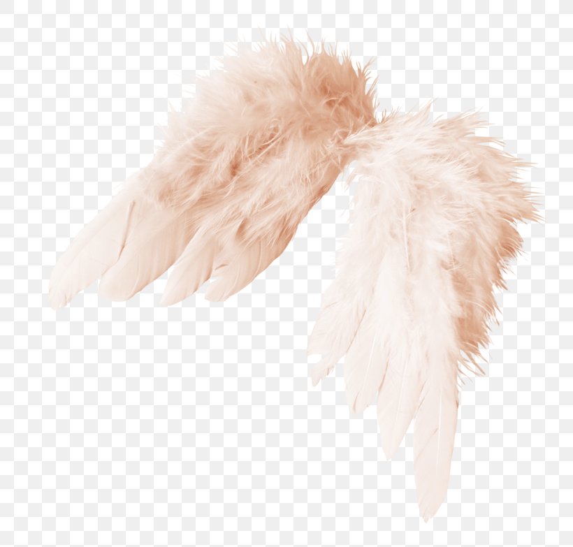 Feather, PNG, 800x783px, Feather, Fur, Wing Download Free