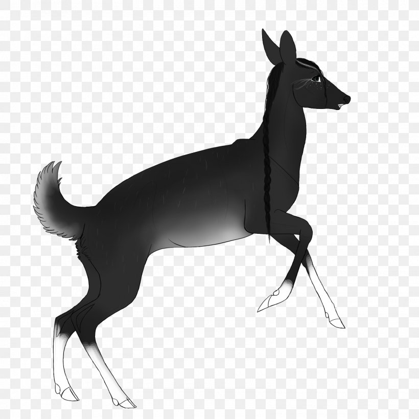 Italian Greyhound Dog Breed Horse Macropodidae, PNG, 1600x1600px, Italian Greyhound, Black, Black And White, Breed, Carnivoran Download Free