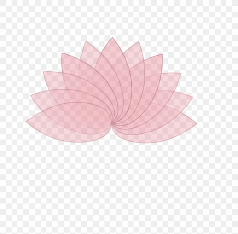 Petal, PNG, 1675x1645px, Petal, Pink Download Free