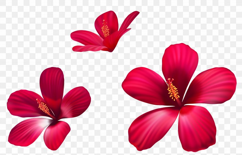 Pink Flowers Clip Art, PNG, 8747x5601px, In Amore Vince Chi Ama, Cdr, Color, Flower, Flowering Plant Download Free
