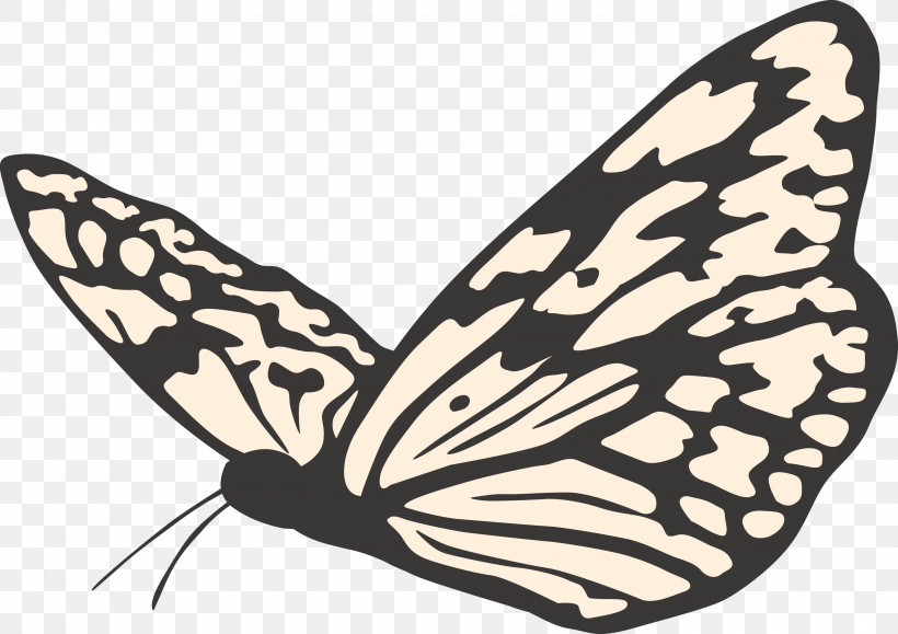 Butterfly, PNG, 3000x2121px, Butterfly, Animal Figure, Blackandwhite, Brushfooted Butterfly, Cynthia Subgenus Download Free