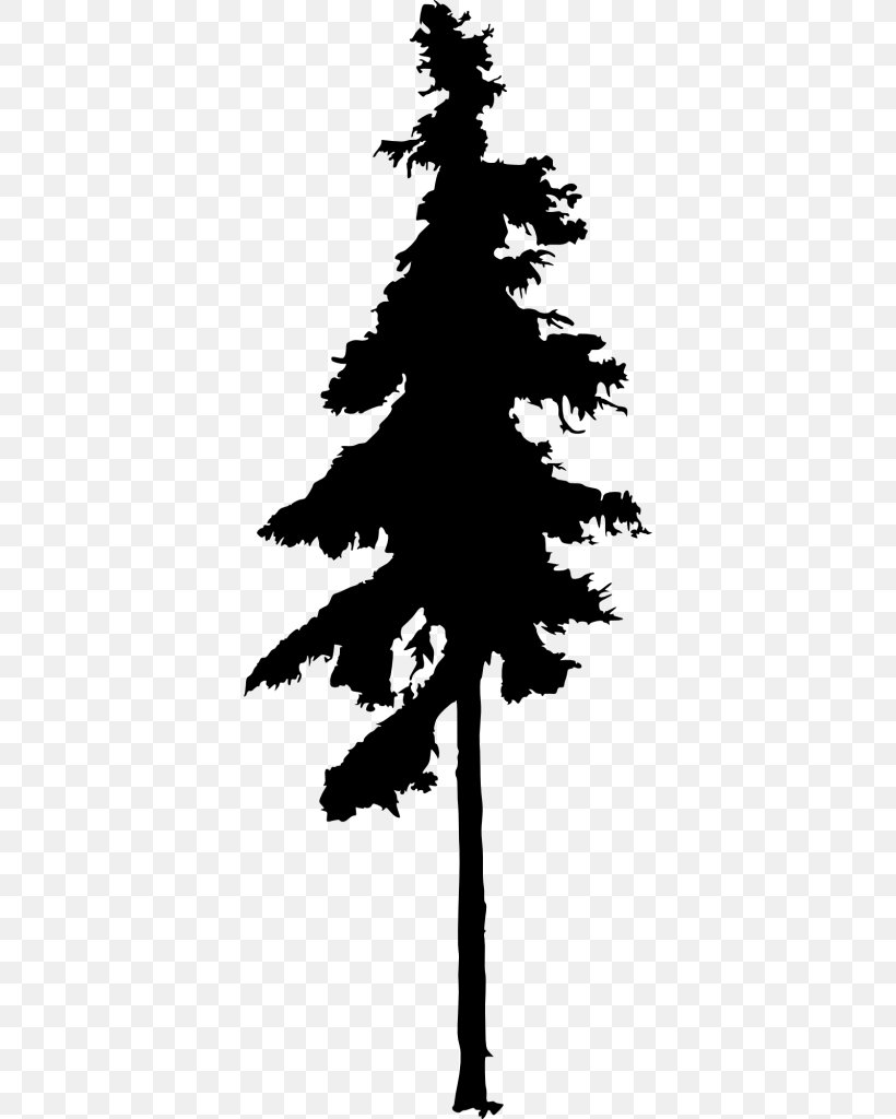 Fir Pine Silhouette Drawing, PNG, 374x1024px, Fir, Black And White, Branch, Christmas Tree, Conifer Download Free