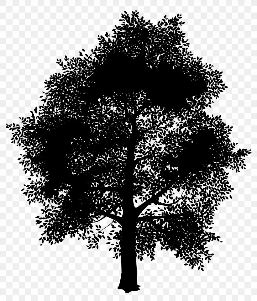 Oak Tree Silhouette, PNG, 4498x5270px, Black And White, Autumn, Black, Blackandwhite, Branch Download Free