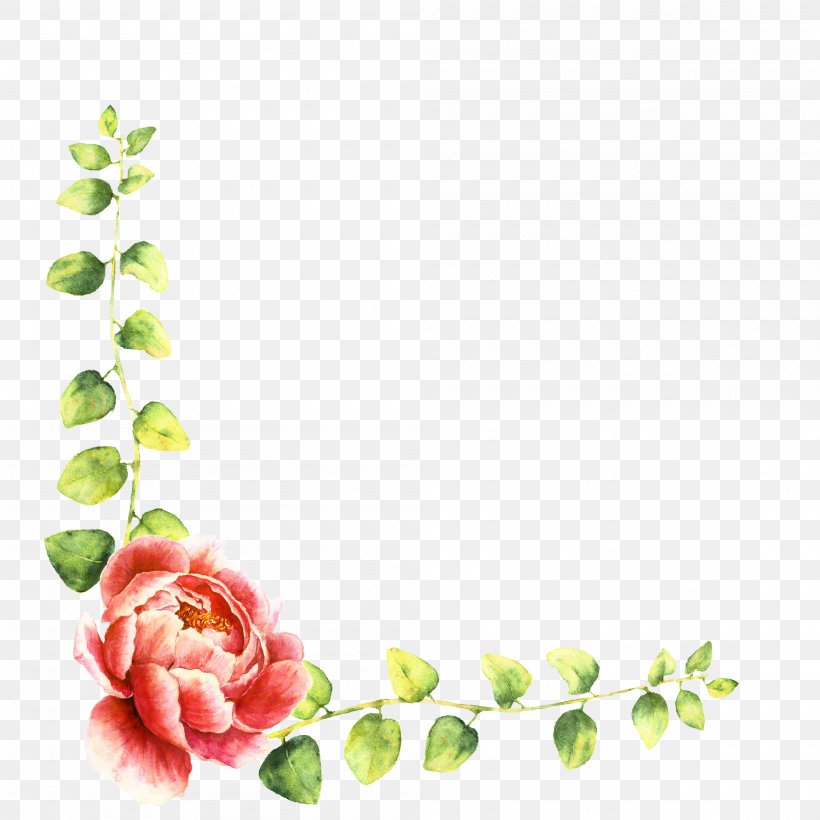Garden Roses Floral Design Cut Flowers Petal, PNG, 2000x2000px, Garden Roses, Color, Cut Flowers, Floral Design, Flower Download Free