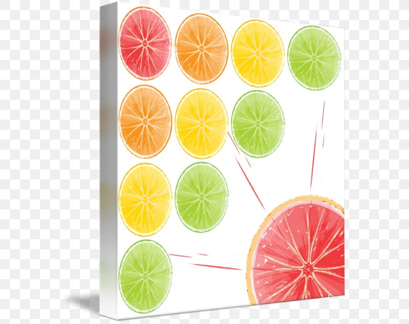 Lemon-lime Drink Key Lime Citric Acid, PNG, 576x650px, Lime, Acid, Citric Acid, Citrus, Food Download Free
