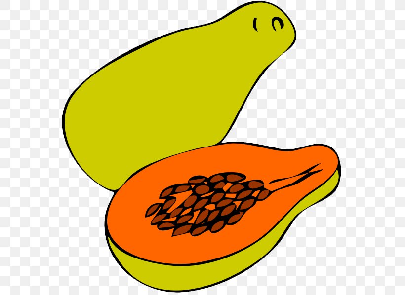 Papaya Pawpaw Fruit Clip Art, PNG, 570x598px, Papaya, Area, Artwork, Beak, Commodity Download Free