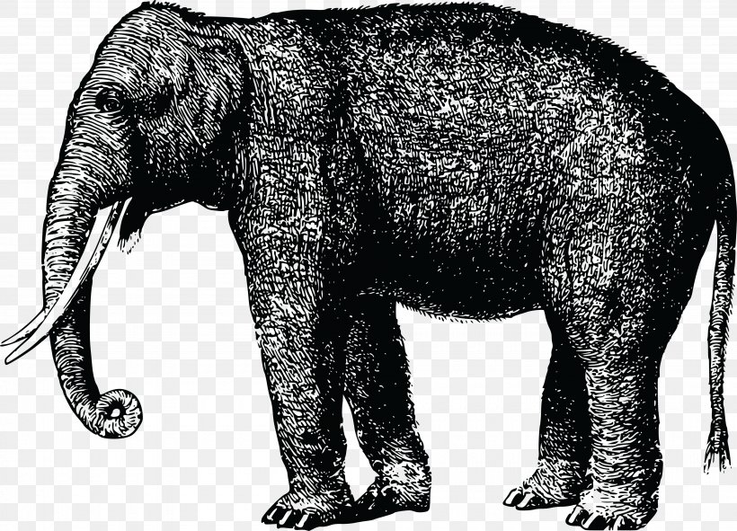 African Elephant Animal Mammal Clip Art, PNG, 4000x2885px, African Elephant, Animal, Black And White, Drawing, Elephant Download Free