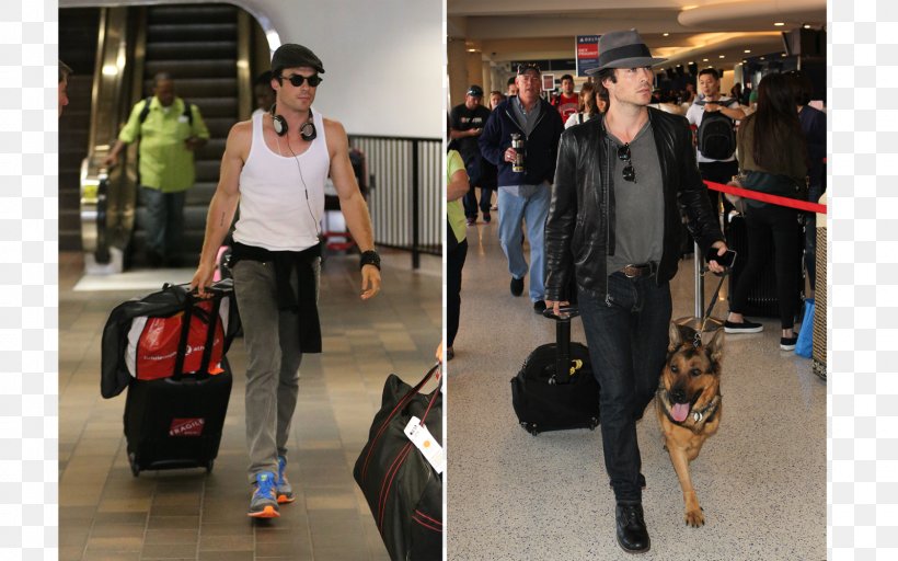 away luggage celebrities