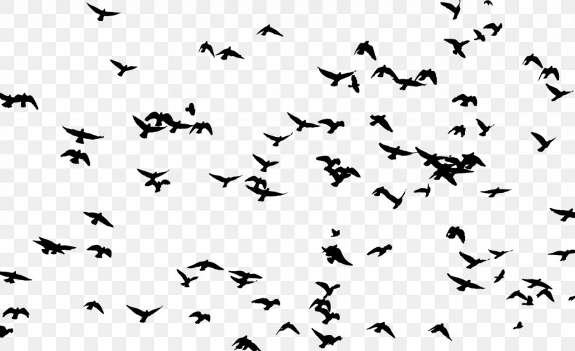 Bird Flight Flock Bird Flight Clip Art, PNG, 1280x782px, Bird, Animal Migration, Beak, Bird Flight, Bird Migration Download Free