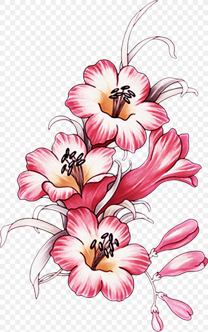 Flower Floral Design Picture Frames Petal Plant, PNG, 956x1525px, Flower, Art, Blog, Daytime, Diary Download Free