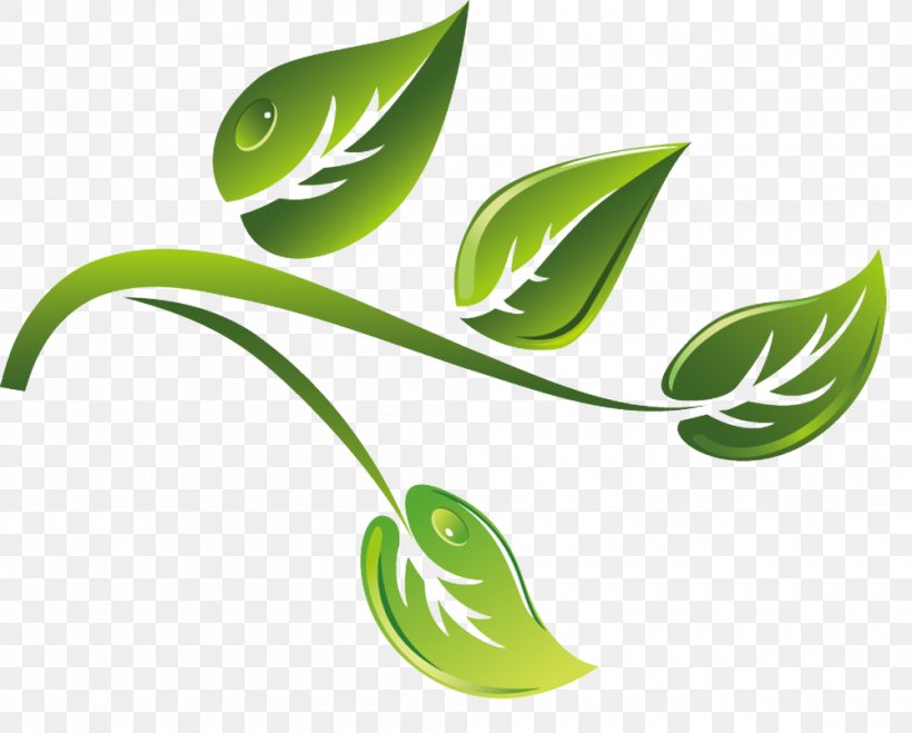 Green Tea, PNG, 1000x804px, Tea, Animation, Branch, Cup, Grass Download Free