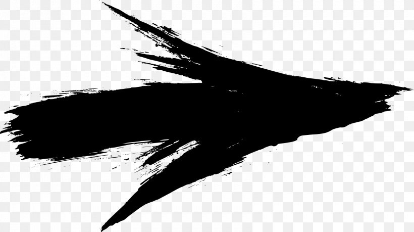 Black And White Monochrome Photography Drawing, PNG, 1681x942px, Black And White, Beak, Bird, Black, Brush Download Free