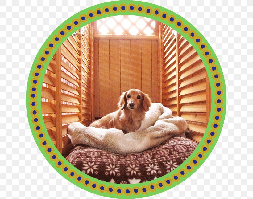 Cockapoo トリミングスタジオ４-ＤＯＧＳ Puppy Companion Dog Dog Breed, PNG, 651x646px, Cockapoo, Companion Dog, Dog, Dog Bed, Dog Breed Download Free