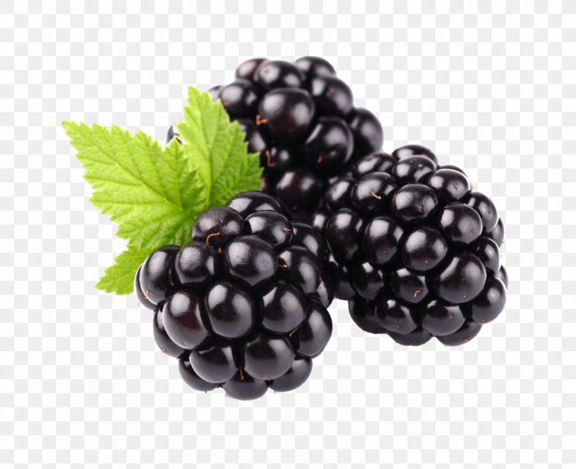 Blackberry Fruit Food, PNG, 850x693px, Blackberry, Aggregate Fruit, Berry, Bilberry, Blueberry Download Free
