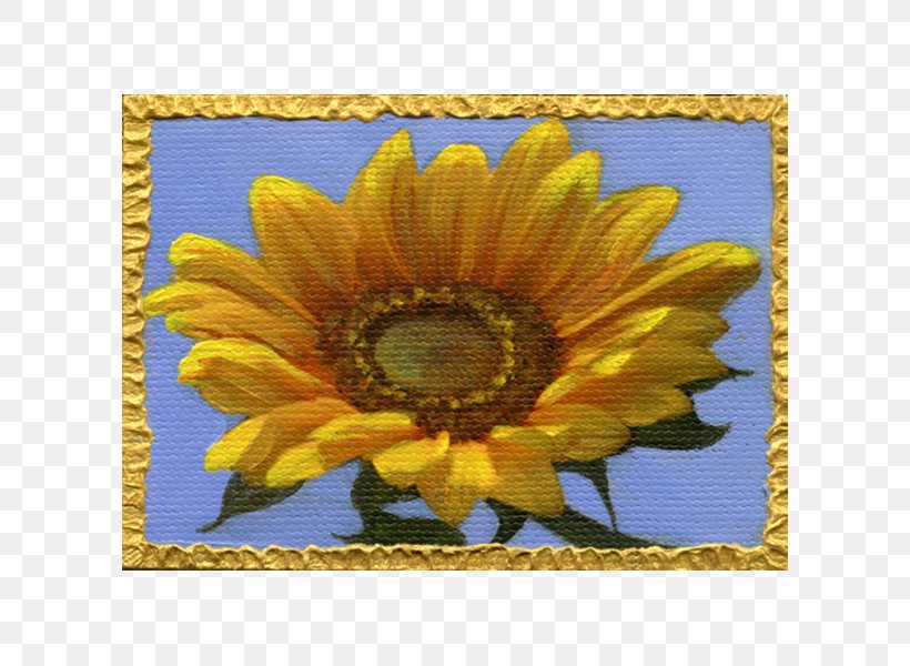 Common Sunflower Sunflower Seed Daisy Family Yellow, PNG, 600x600px, Common Sunflower, Closeup, Daisy Family, Flower, Flowering Plant Download Free
