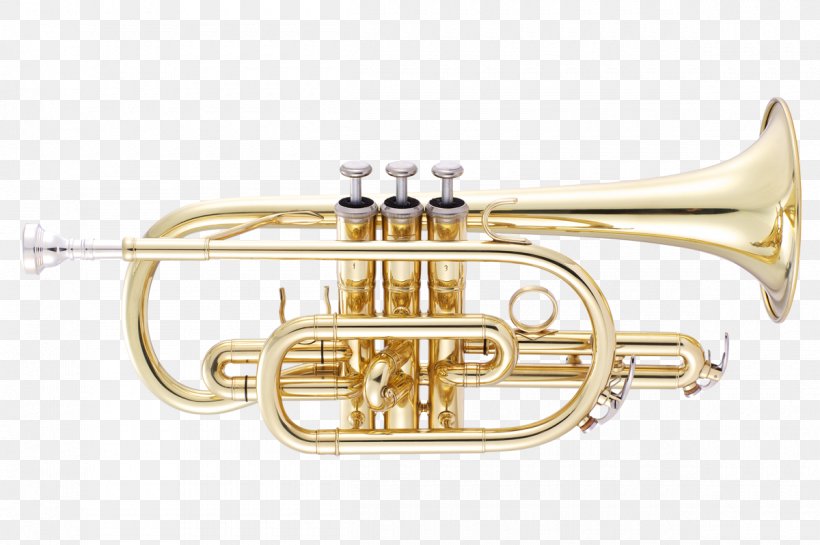 Cornet Trumpet Saxhorn Mellophone Tenor Horn, PNG, 1200x799px, Watercolor, Cartoon, Flower, Frame, Heart Download Free