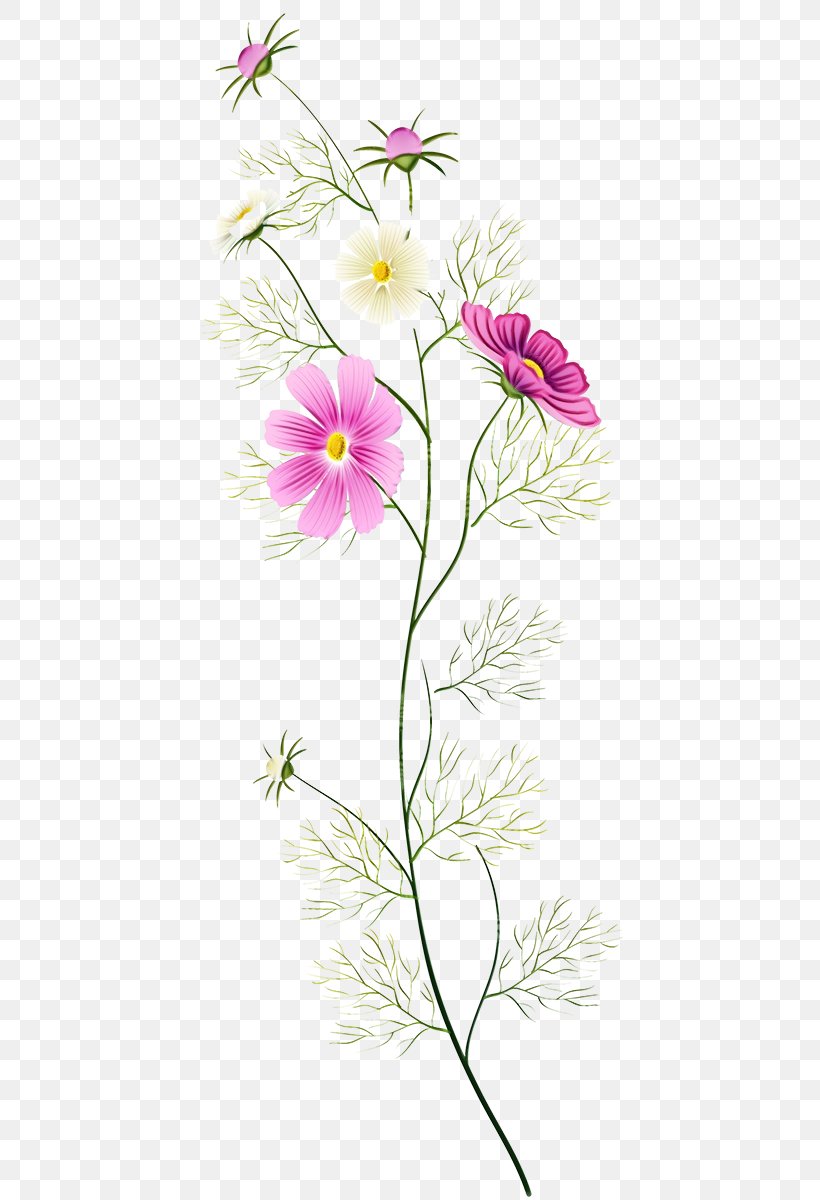 Flower Flowering Plant Plant Pedicel Petal, PNG, 435x1200px, Watercolor, Flower, Flowering Plant, Garden Cosmos, Paint Download Free
