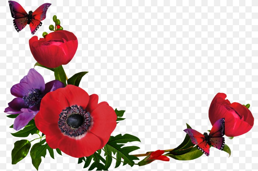 Flowers Background, PNG, 797x545px, Borders Clip Art, Anemone, Artificial Flower, Bouquet, Coquelicot Download Free