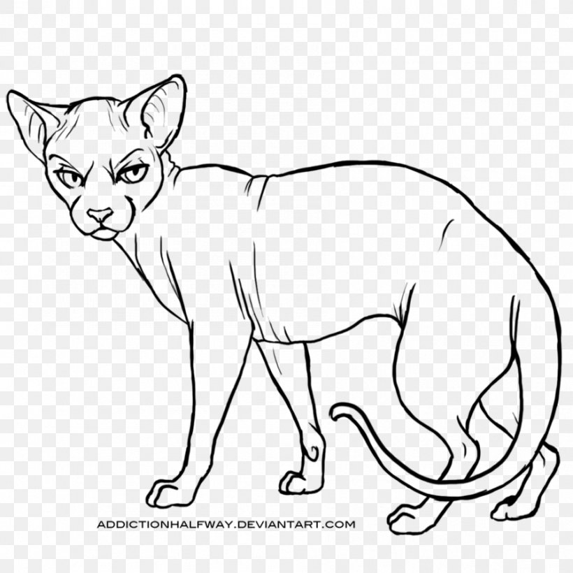 Whiskers Sphynx Cat Wildcat Line Art, PNG, 894x894px, Whiskers, Animal Figure, Art, Artist, Artwork Download Free