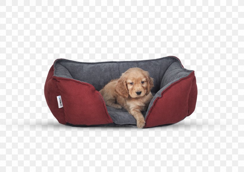 Bean Bag Chairs Dog Breed Bed Pillow, PNG, 1166x824px, Bean Bag Chairs, Bag, Bean Bag, Bed, Comfort Download Free