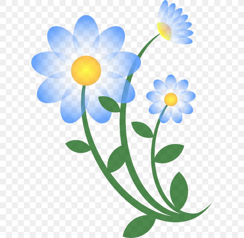 Daisy, PNG, 800x800px, Flower, Camomile, Chamomile, Daisy, Mayweed Download Free