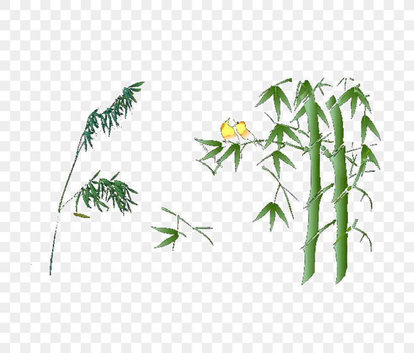 Bamboo Bamboe Euclidean Vector, PNG, 700x700px, Bamboo, Bamboe, Branch, Flora, Floral Design Download Free